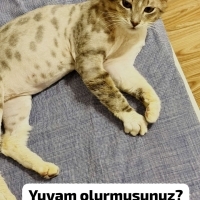O kadar u..