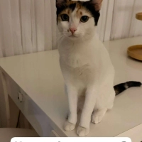 Oldukça komik ve duygusal bir kız sahiplenen kişi çok sansli
