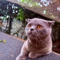 KÜL ömürl..