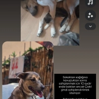 Çakıl sah..