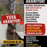 Barınağa..