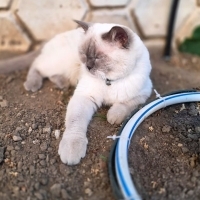 Mutlu yuv..