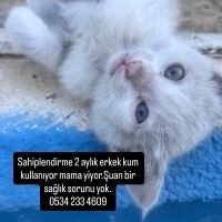 bembeyaz..