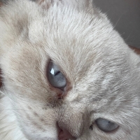 Çok uysal..