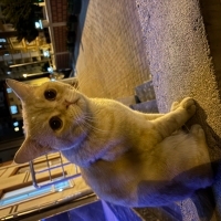 Erkek kıs..