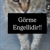 Görme eng..