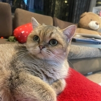 🐾 Eylül'..