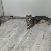 2 yaşında..