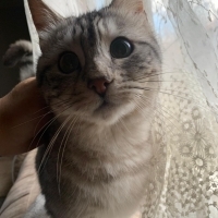 Tatlı oğl..