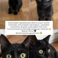 Adı: Yok...