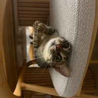 Bella’ya..