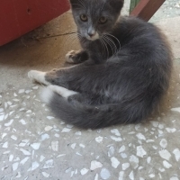 Minnak yu..