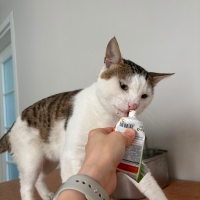 HİÇ SOKAK..