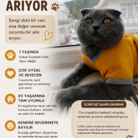 PATİ'YE Ö..