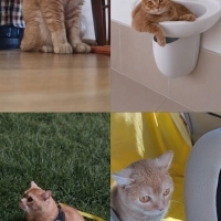 Eğitimli..