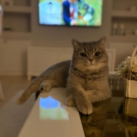 Kızımıza..