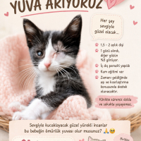 Acil görm..