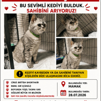 ANKARA MA..