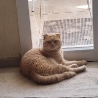 Çok uysal..