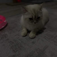 1 yaşında..