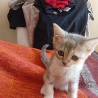Minnak ke..