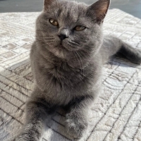 Luna'yı g..