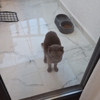 Aşıları t..