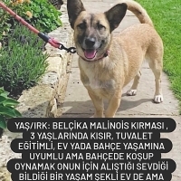 ACİL YUVA..