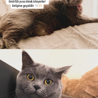 LUNA yuva..