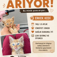 Çok sevim..