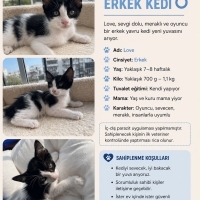 Sevgi dol..
