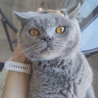 Sokakta K..