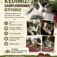 Yaklaşık..