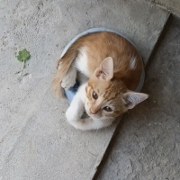 Kendini M..