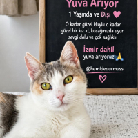 Lütfen yu..