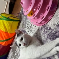 OĞLUMUN A..