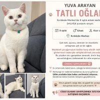 Çok tatlı..