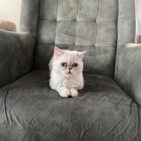 Bella kız..