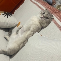 Çok Sevec..