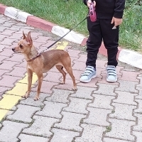 7 Yaşında..