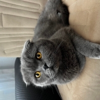 Oliver ye..