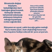 Ankara /..