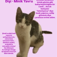 ANKARA /..