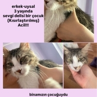 ANKARA /..