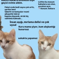 ANKARA /..