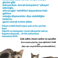 ANKARA / ÇOK ACİL! BİNA BASKISI YÜZÜNDEN SOKAĞA ATILMA RİSKİ OLAN ŞANS GETİREN