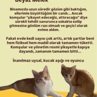 ANKARA /..