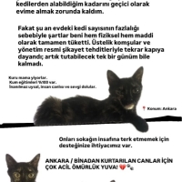 ANKARA /..