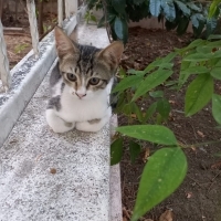 Bulunduğu..
