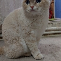 6 aylık U..